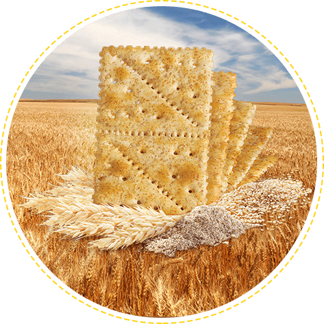 Galletas Saltin Noel Integral